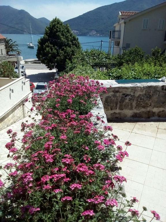 Apartmani Villa Radovic Risan Esterno foto