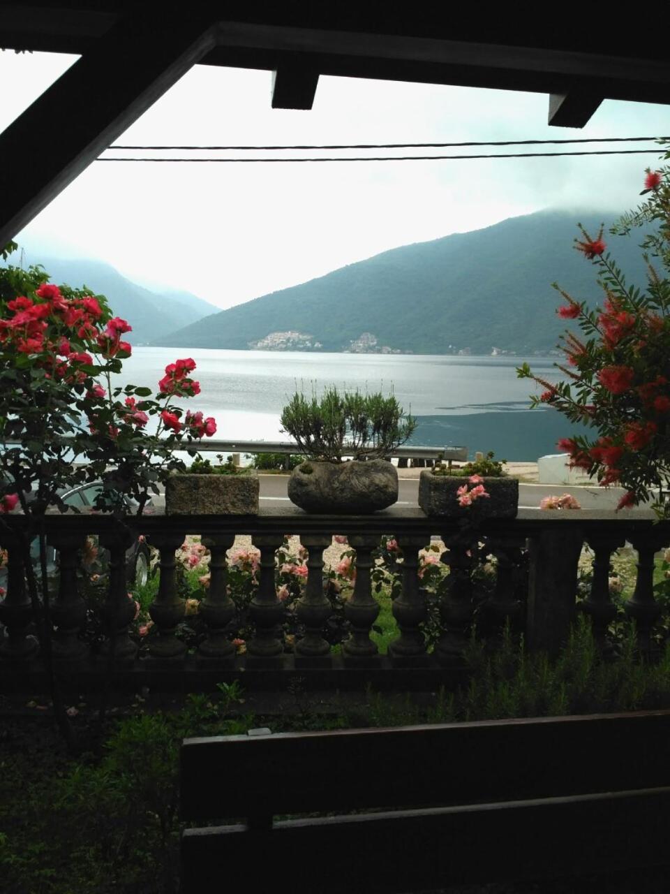 Apartmani Villa Radovic Risan Esterno foto